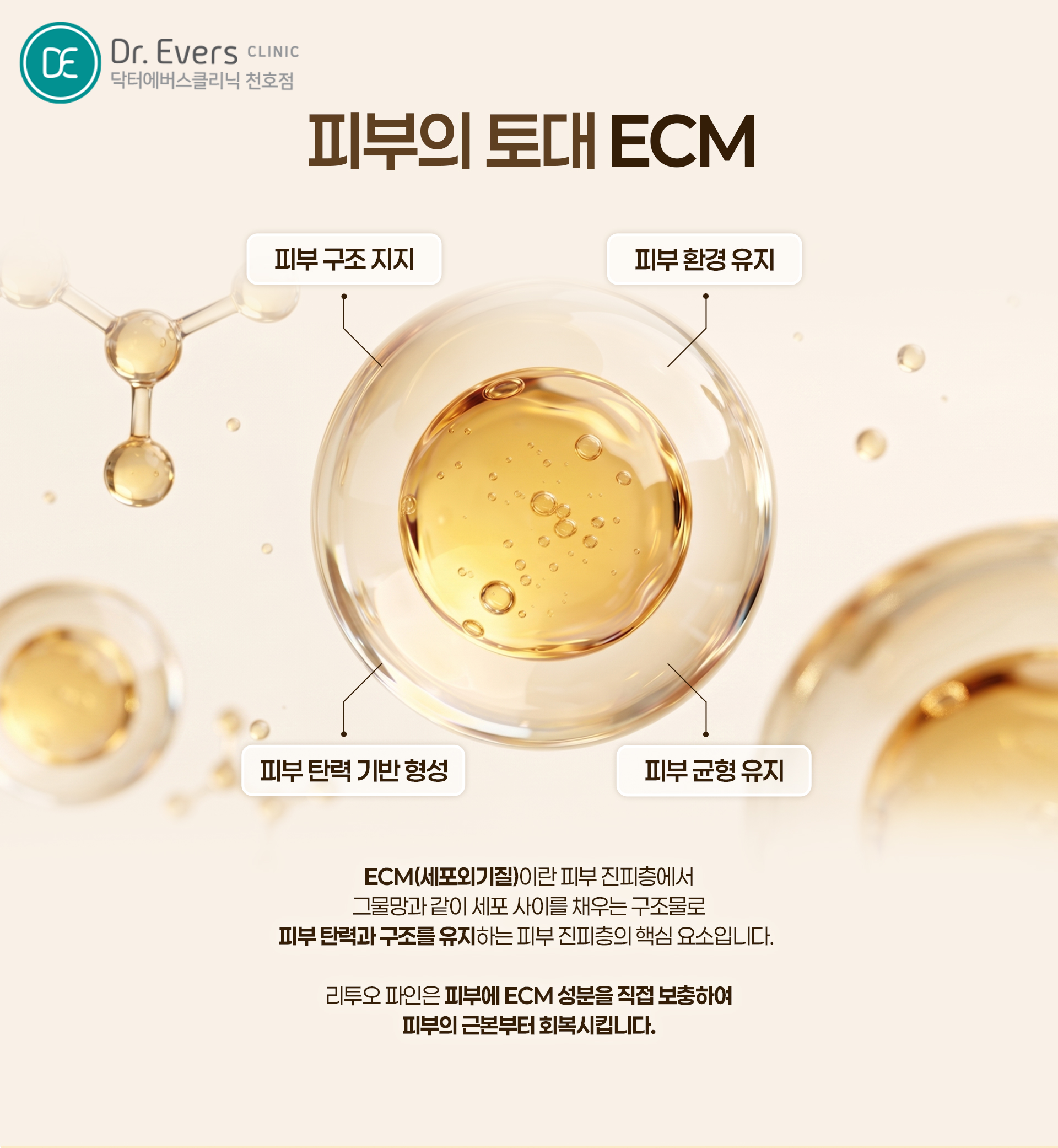 리투오 파인 효과 장점 총정리